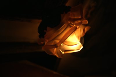 画像1: ローズ型ブラケットランプ　サーモンピンク